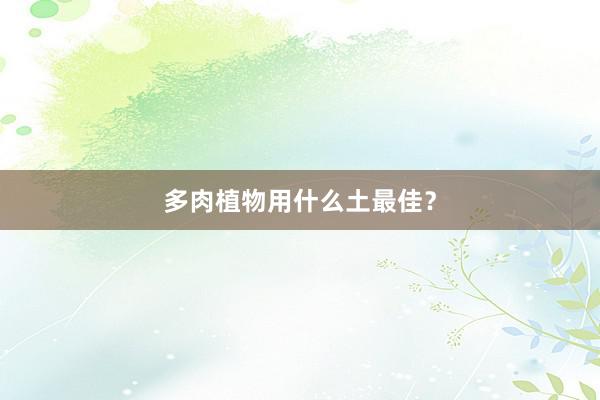 多肉植物用什么土最佳？