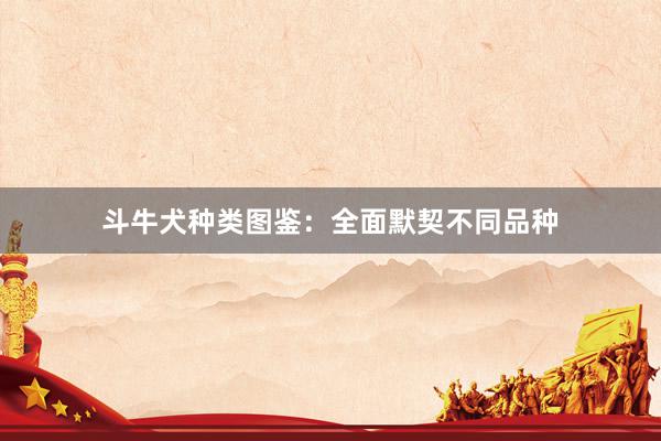 斗牛犬种类图鉴：全面默契不同品种