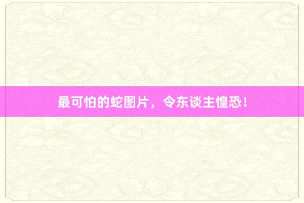 最可怕的蛇图片，令东谈主惶恐！